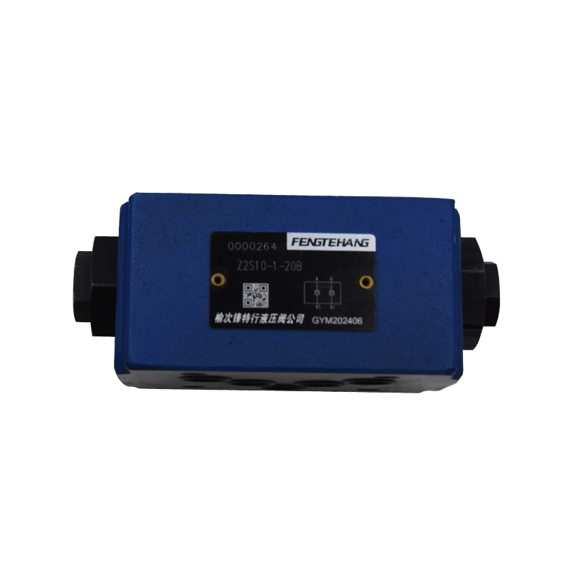 Z2S10  Check valves